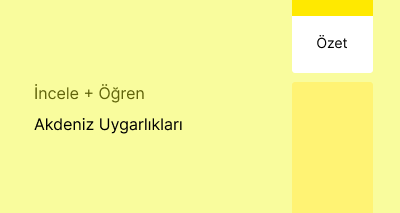 Akdeniz Uygarlıkları (Özet)