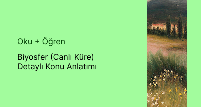 Biyosfer (Canlı Küre) Detaylı Konu Anlatımı