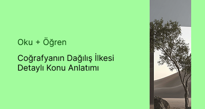 Coğrafyanın Dağılış İlkesi Detaylı Konu Anlatımı