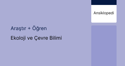 Ekoloji ve Çevre Bilimi