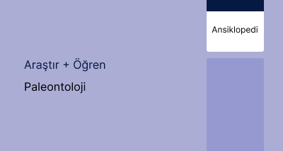 Paleontoloji